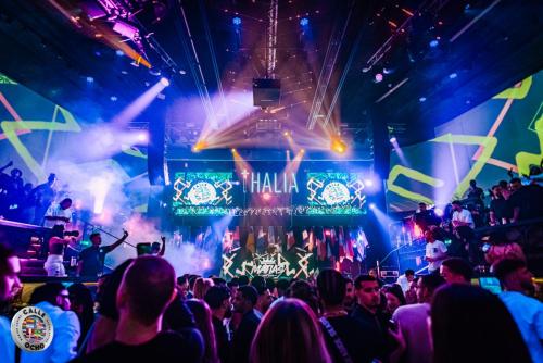 Interdigital-coedu8set-1